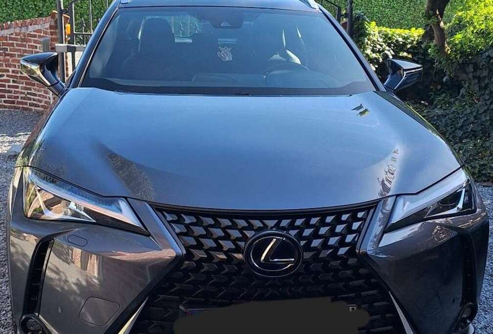 Lexus 2.0i AWD Executive Line Hybride