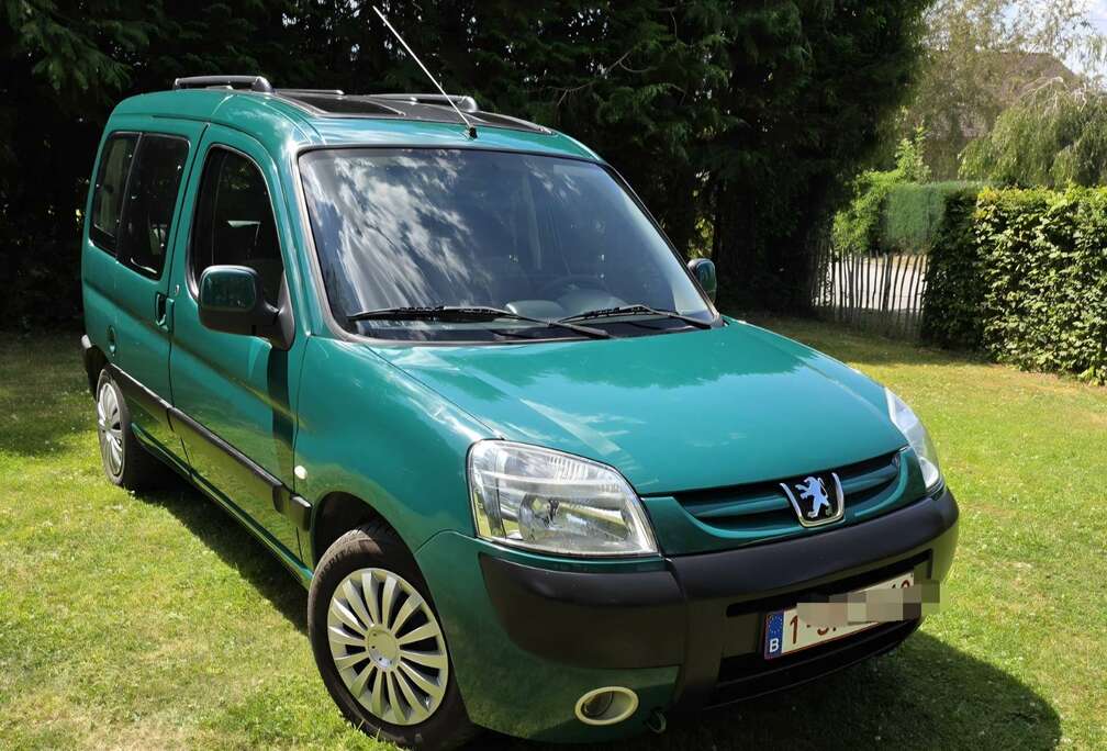 Peugeot 1.6i 16v Totem