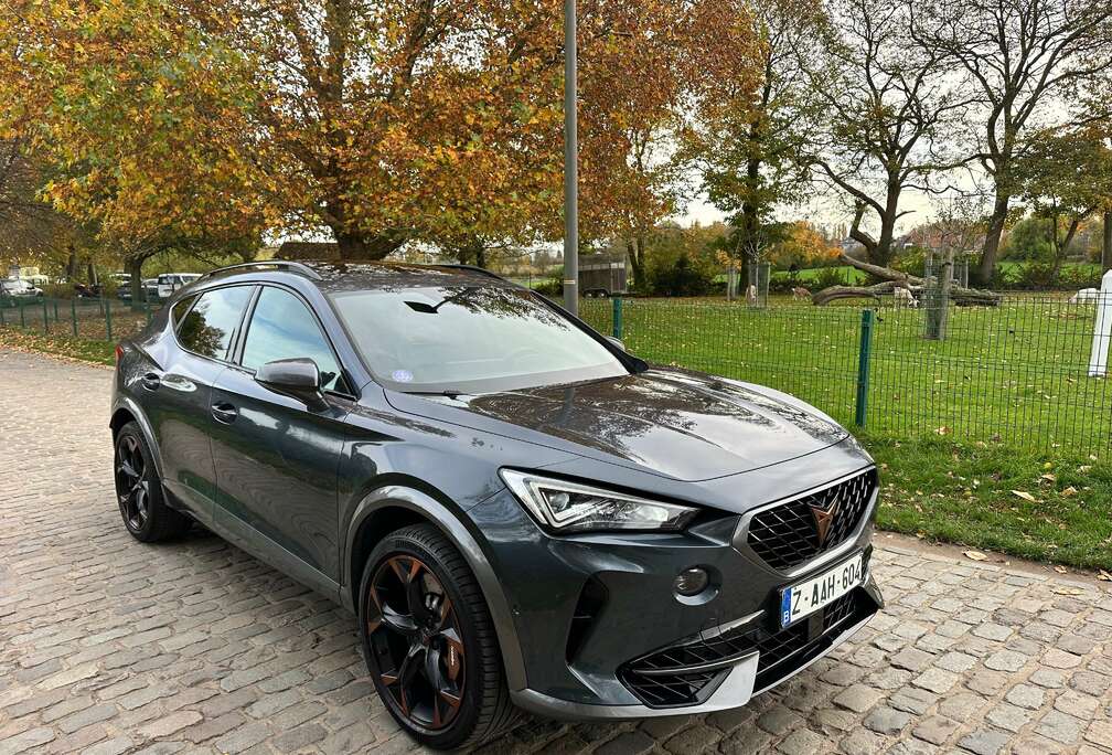 Formentor 2.0 TSI 4Drive VZ DSG