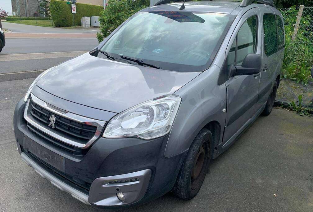 Peugeot Partner Tepee 1.6 BlueHDi Style S