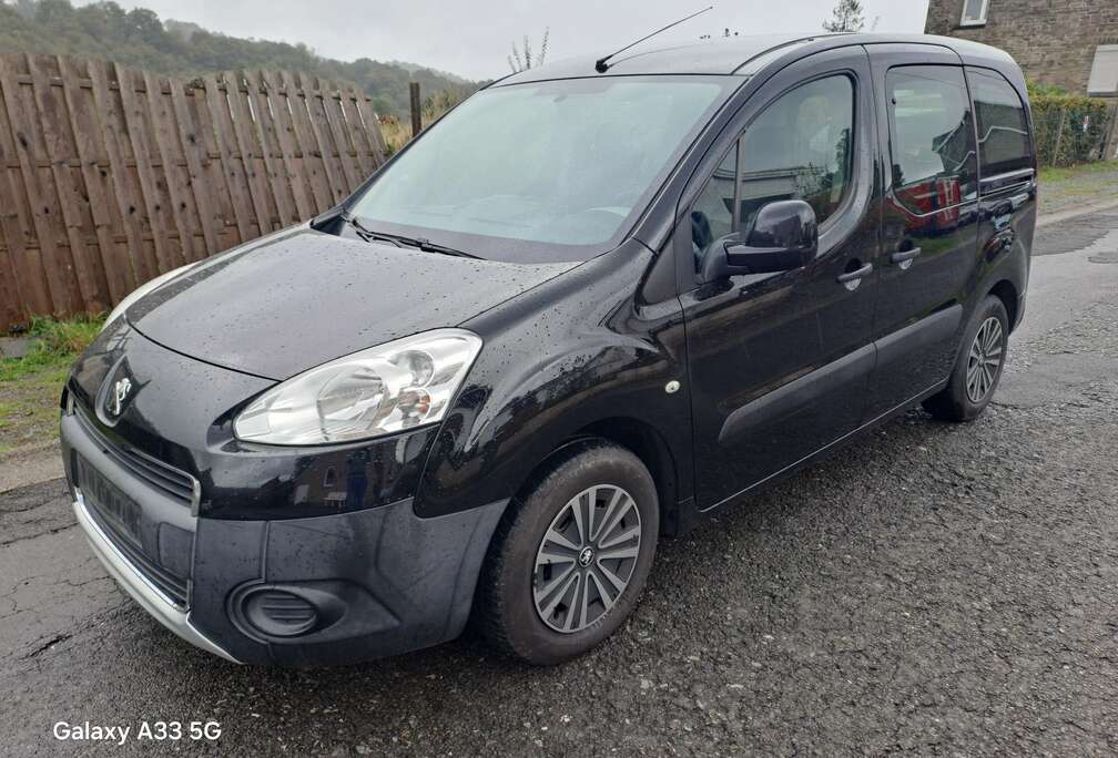 Peugeot Tepee 1.6 HDi Premium FAP