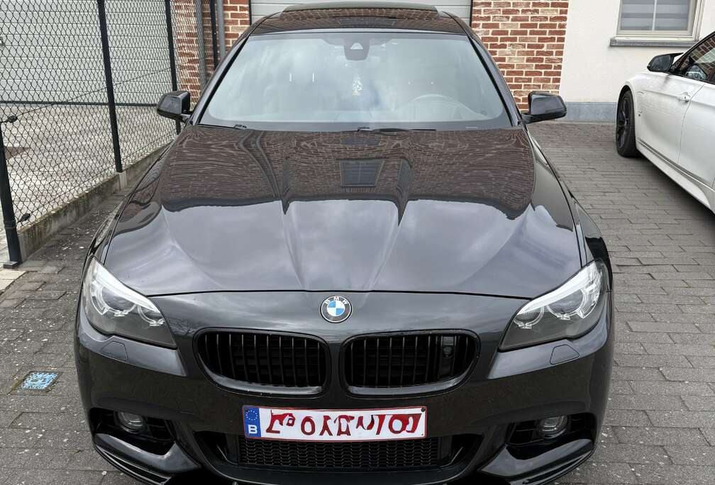 BMW BMW 530d xDrive Automaat (2013)  Euro 6b  Sterke