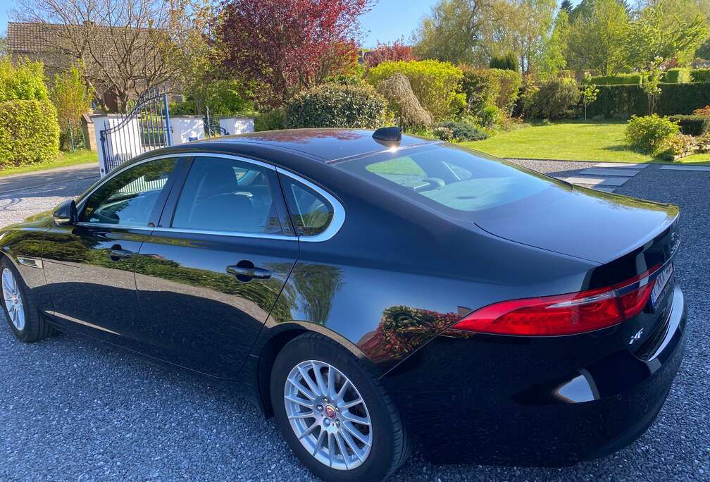 Jaguar XF 2.0 D E-Performance Business Ed.Prestige
