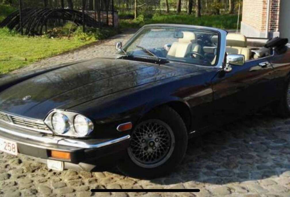 Jaguar V12