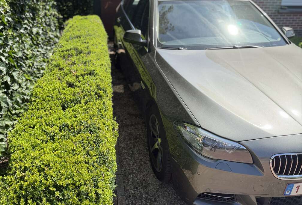 BMW Touring 520dAS BluePerformance Start/Stop