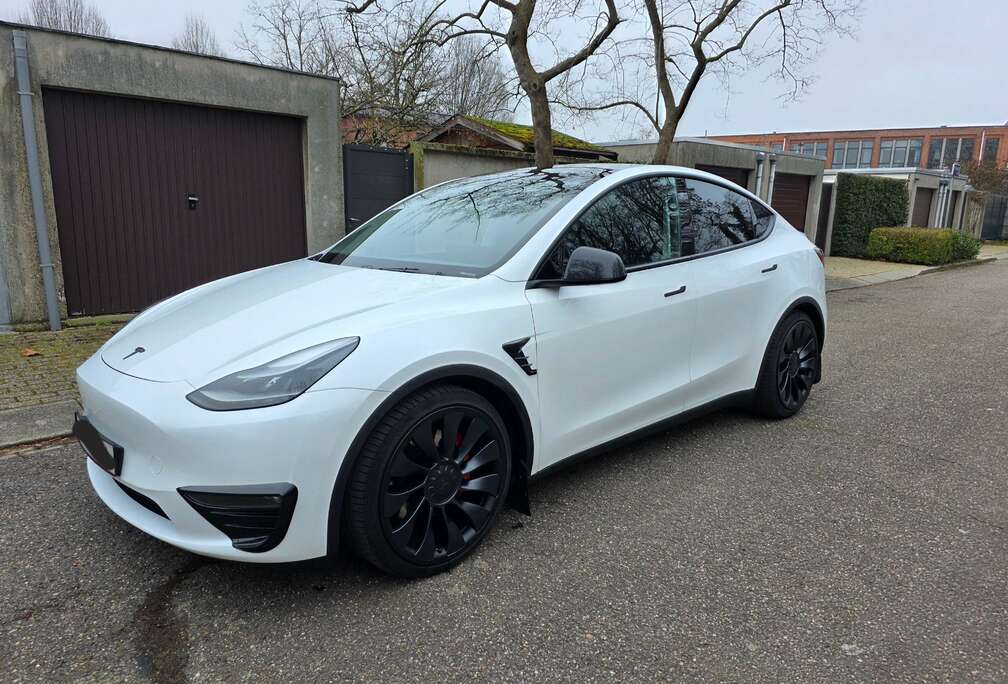 Tesla Model Y Performance