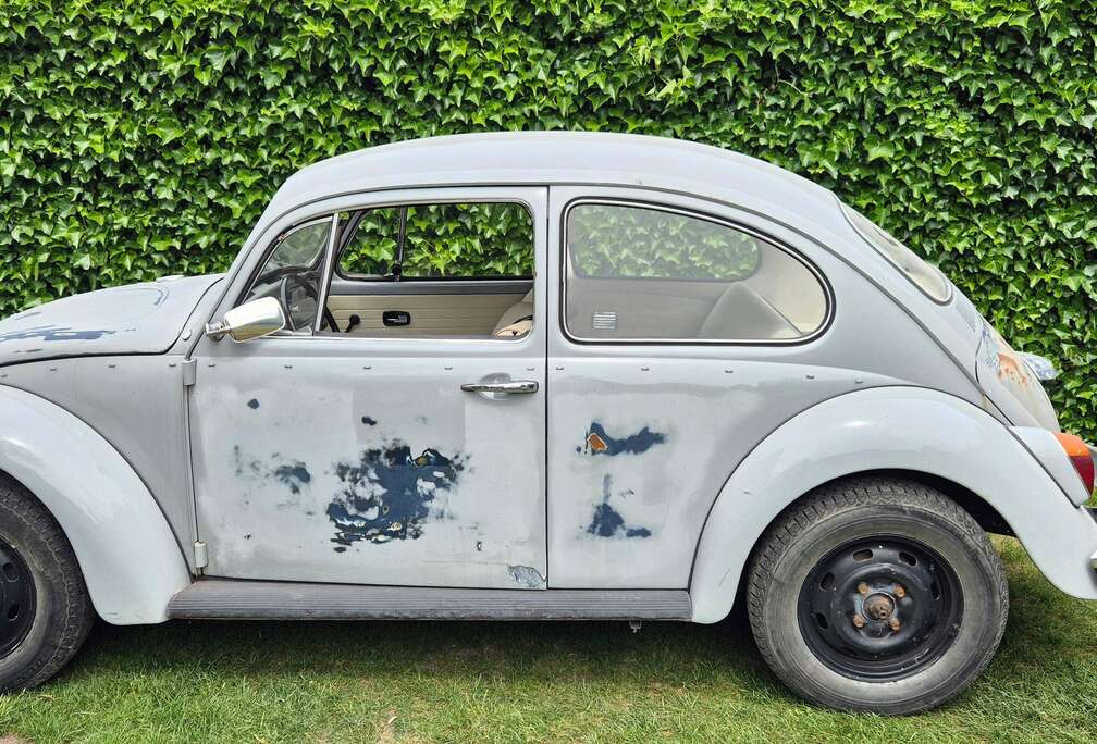 Volkswagen VW Kever 1300 - Restauratieproject met zeer goede basis