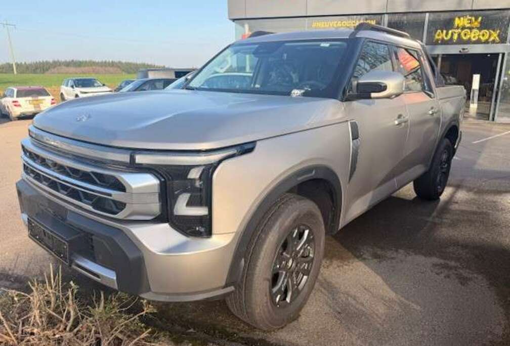 Andere  DFM  RICH 9  2.3 DCI 4WD DCT