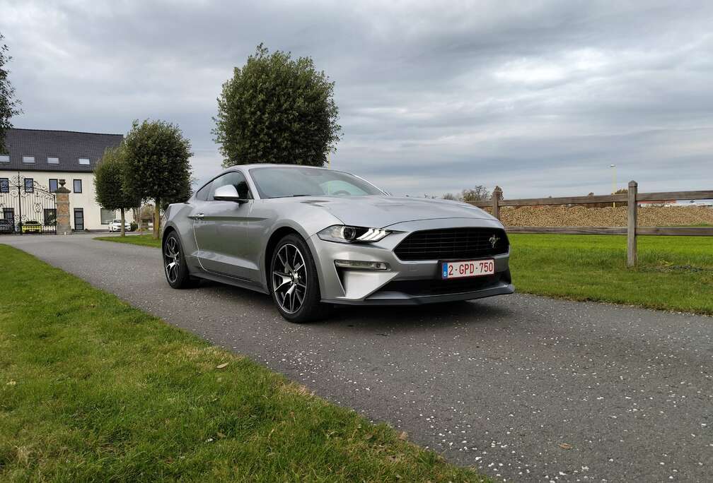 Ford Mustang Fastback 2.3 Eco Boost
