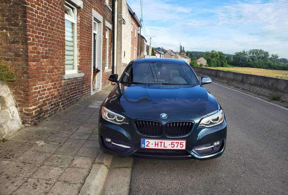 BMW Coupé 218i