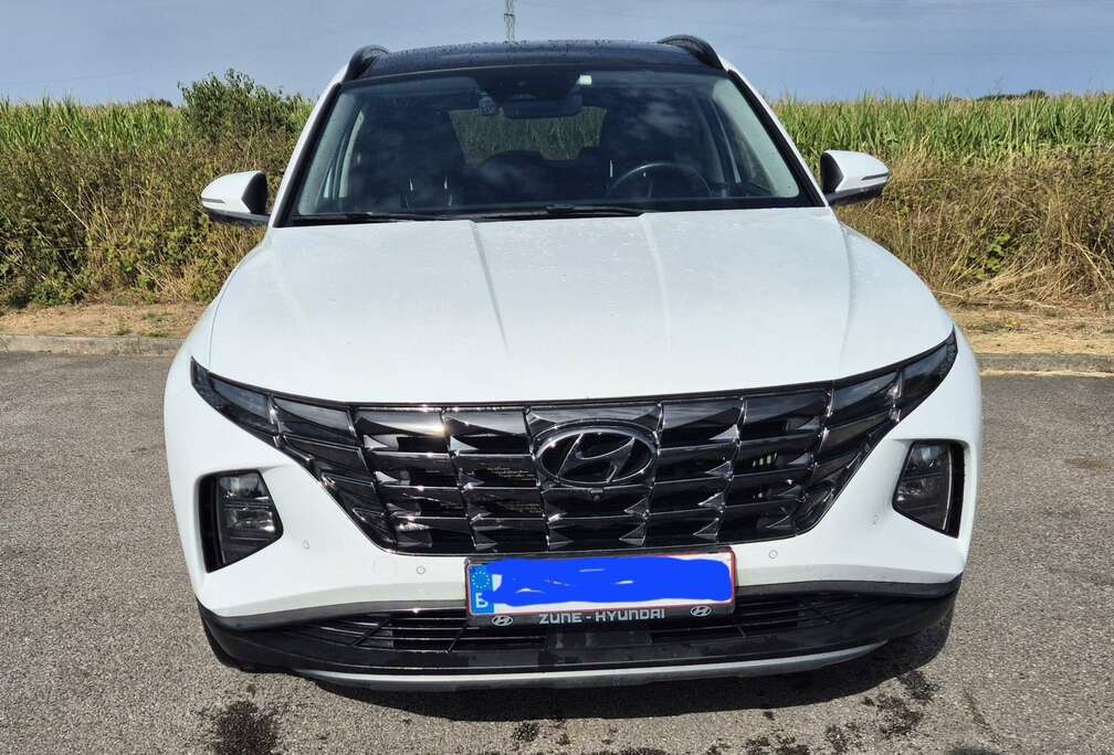 Hyundai PHEV 1.6 T-GDi 4WD Shine
