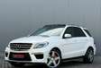 Mercedes-Benz M-Klasse