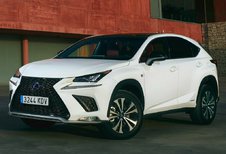 Lexus NX NX 300h Executive Line AWD (2021)