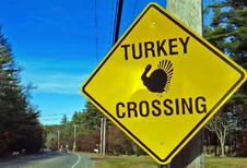 Les 7 voitures « turkey » récentes détestées des Américains