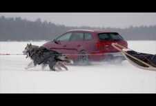 Seat Leon Cupra ST tegen hondenslee