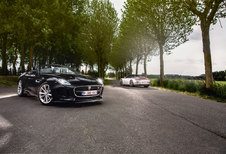 JAGUAR F-TYPE V6 S ROADSTER // PORSCHE 911 CARRERA 4S CABRIOLET : Zinvol geweld
