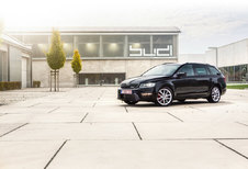 SKODA OCTAVIA RS TSI COMBI : Graai cultuur
