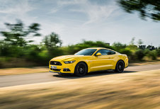 FORD MUSTANG GT V8 FASTBACK : Wild, Wild West