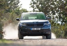 Skoda Kodiaq: Tsjechische behandeling