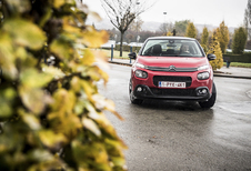 Citroën C3 1.6 BlueHDi 100 : piquante, comme un cactus