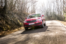 Skoda Kodiaq 2.0 TSI : Waardig TDI-alternatief
