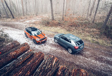 AUDI Q2 1.4 TFSI // MINI COUNTRYMAN COOPER : Boetiekbakjes