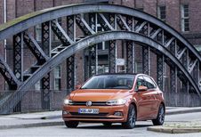 Volkswagen Polo : volgroeid