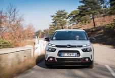 Citroën C4 Cactus: interimberline