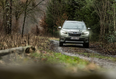 Subaru Forester 2.0i e-Boxer : le franc-tireur