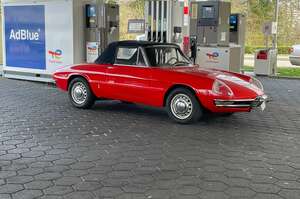 Alfa Romeo Spider