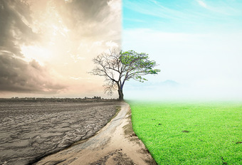 Ecolo/Groen presenteert klimaatwet in het parlement: welk gevolg voor transport? (2019) #1