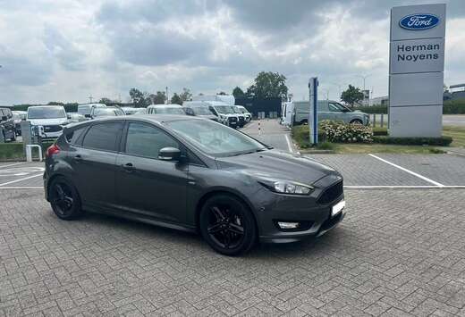 Ford Enkel voor professionele verkoop.