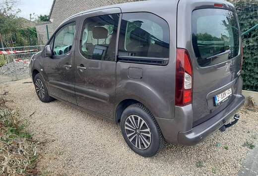 Peugeot Partner Tepee 1.6 BlueHDi Access