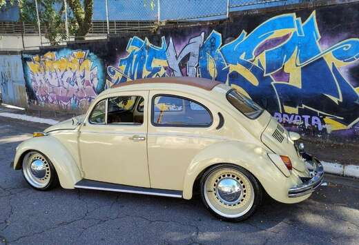 Oldtimer Coccinelle