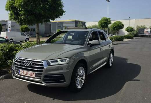 Audi 45 TFSi Quattro Design S tronic (EU6d-T)