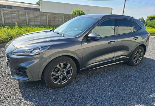 Ford Kuga ST-Line X 2.5i FHEV 190pk/140kW-hf45Auto