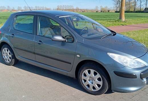 Peugeot HDi 90 Grand Filou Cool
