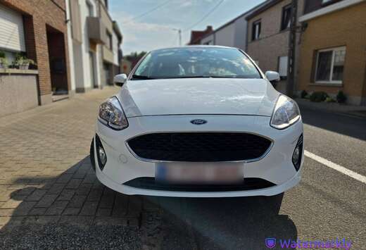 Ford 1.1l Inj. Business Class Lichte vracht