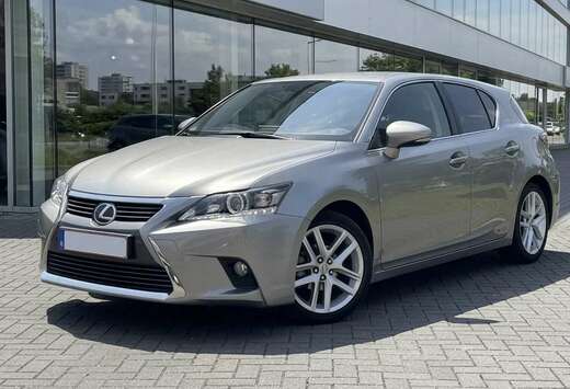 Lexus Dynamic Line