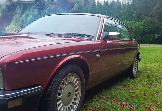 Jaguar