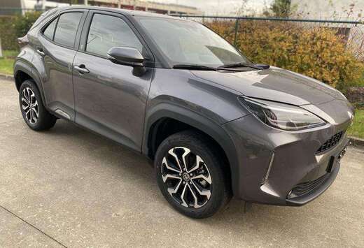 Toyota Team D.
