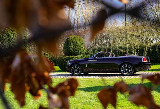 Rolls-Royce  Elegant Colour Combo