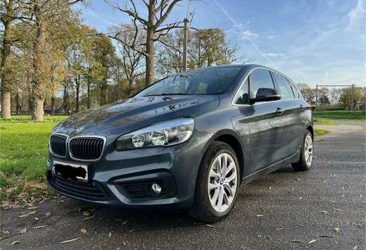 BMW BMW 225XE