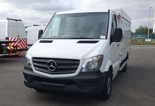 Mercedes-Benz 311 cdi (Stock ID 89890)