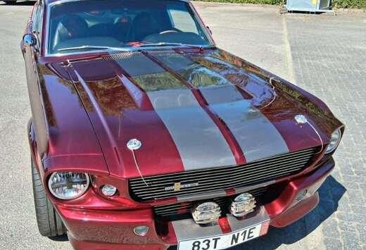 Ford eleanor