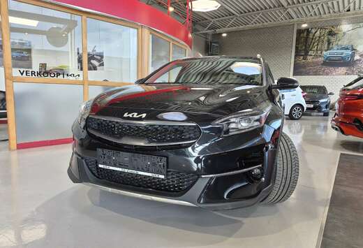 Kia T-GDi ISG Pulse - LEZ VALID 2035 - 48M KIA WARRAN ...