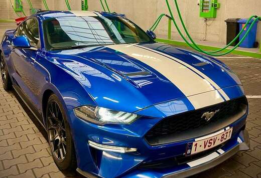 Ford Mustang 2.3 EcoBoost (EU6.2)