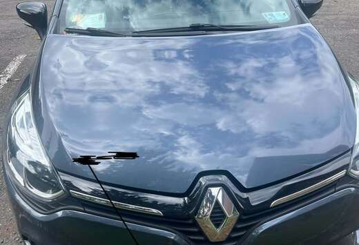 Renault 0.9 TCe Limited#2 (EU6c)