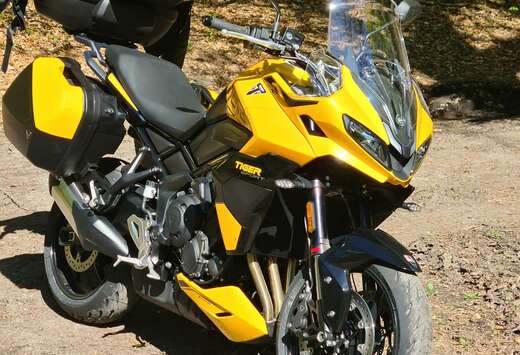 Triumph 800