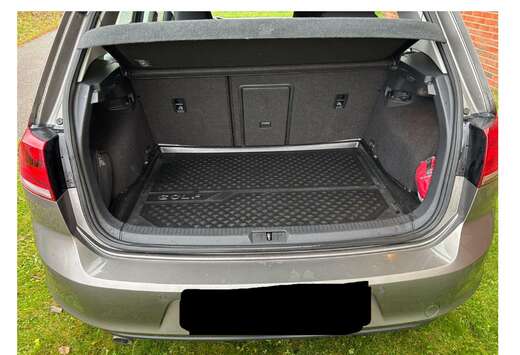 Volkswagen Golf Alltrack 1.6 CR TDi 4Motion